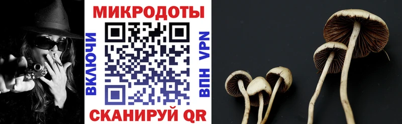 Галлюциногенные грибы ЛСД  mega как войти  Ворсма  как найти  